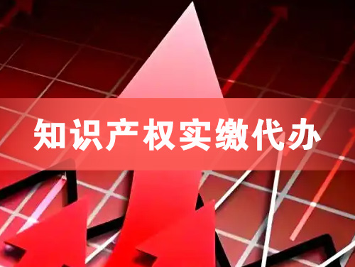 钦州知识产权实缴资本代办